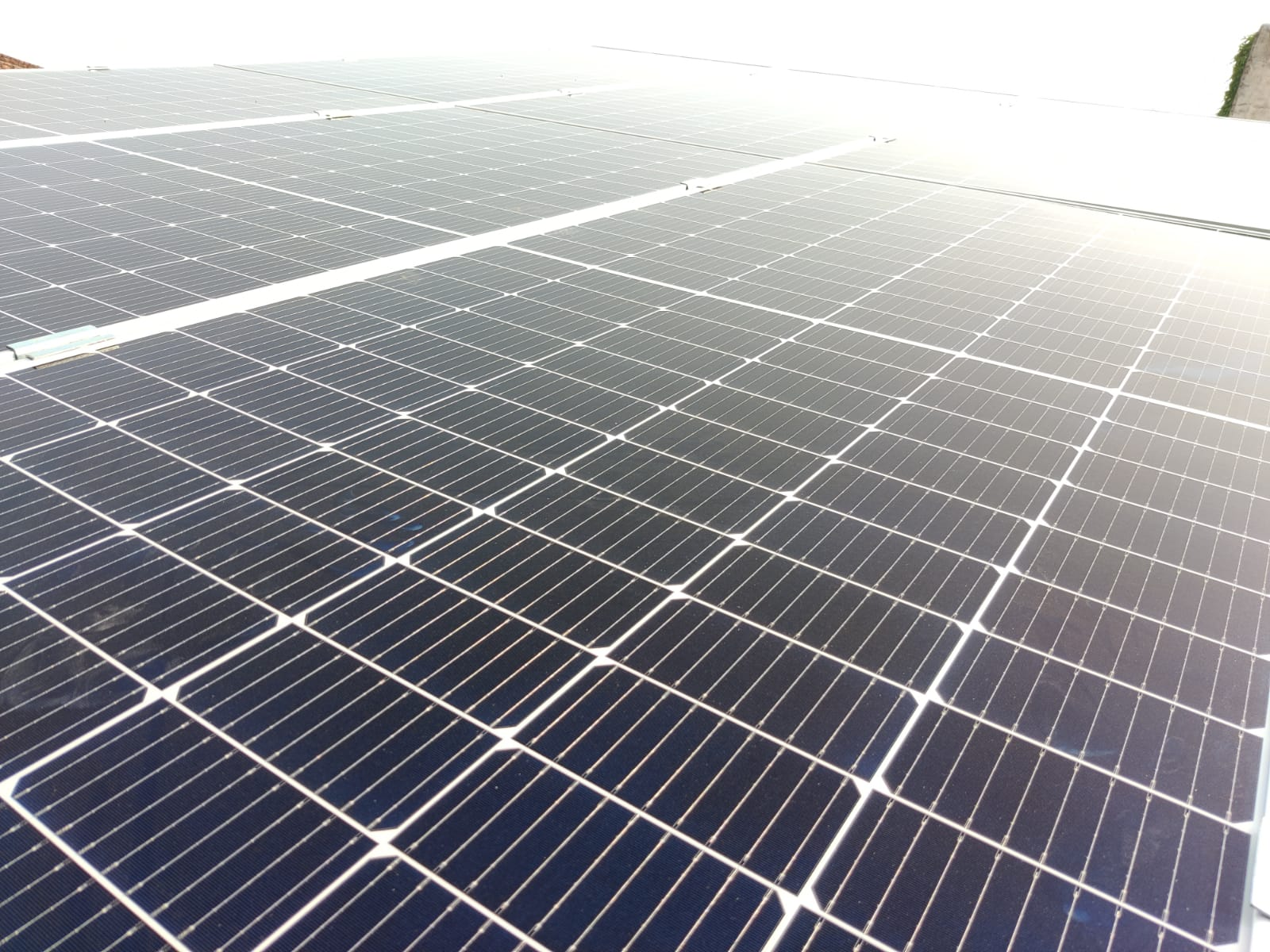 Shiv-mandir-Rajpura-01