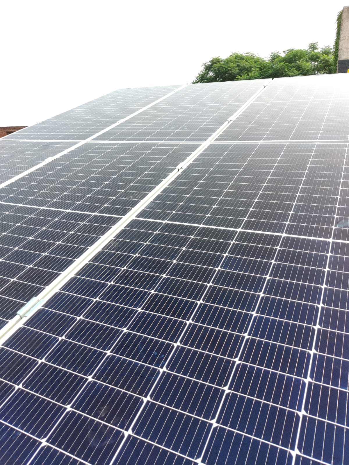 Shiv-mandir-Rajpura-02